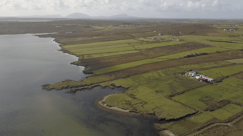 mayo aerial view