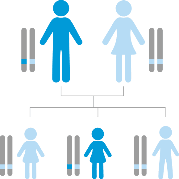 gene inheritence tree